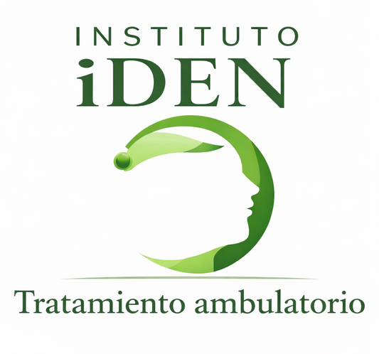Iden Programa II